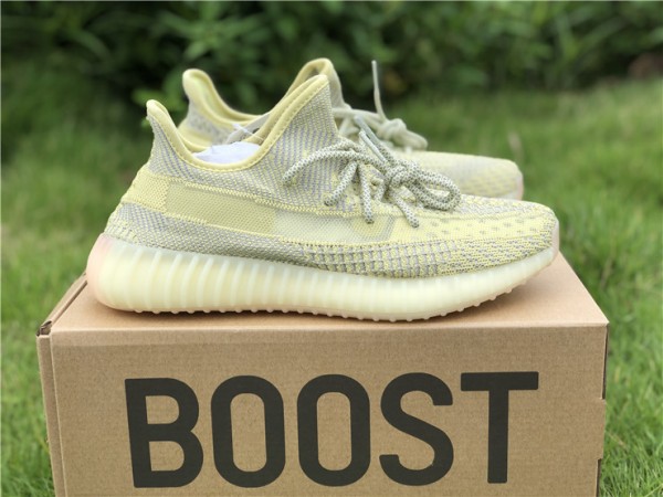 Adidas Yeezy Boost 350 V2 Antlia (Non-Reflective) FV3250