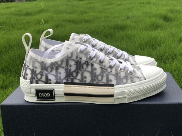 Dior B23 Low Top Logo Oblique 3SN249YJP_H069