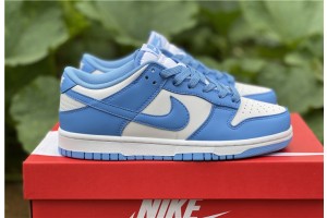 Nike Dunk Low UNC (2021) DD1391-102