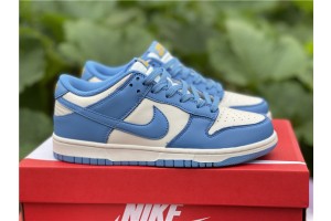Nike Dunk Low Coast DD1503-100