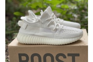 Adidas Yeezy Boost 350 V2 Bone HQ6316