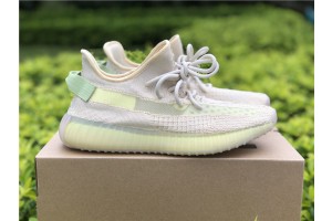 Adidas Yeezy Boost 350 V2 Flax FX9028