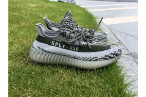 Adidas Yeezy Boost 350 V2 Glow In The Dark Real Boost BB1829